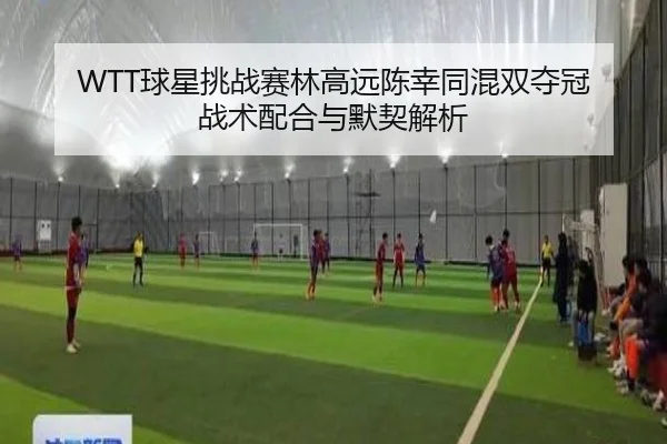 WTT球星挑战赛林高远陈幸同混双夺冠 战术配合与默契解析